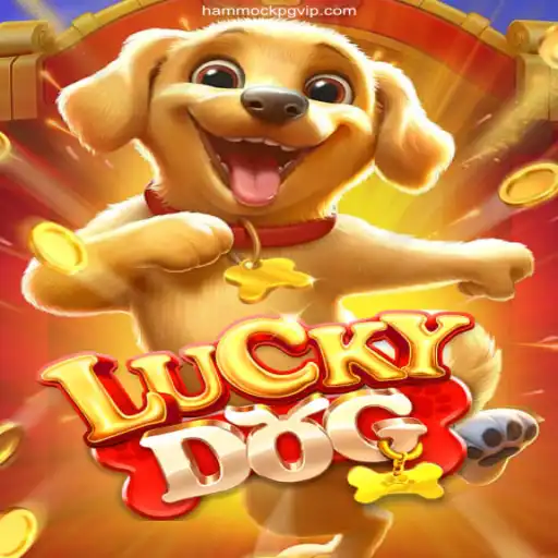 Exploring the World of LuckyDog: A Dive into Brazil's Top Online Casino Experience